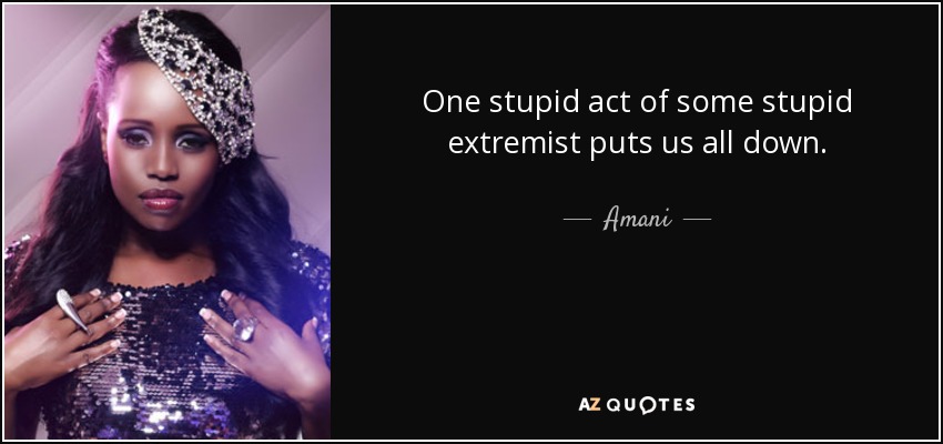 One stupid act of some stupid extremist puts us all down. - Amani