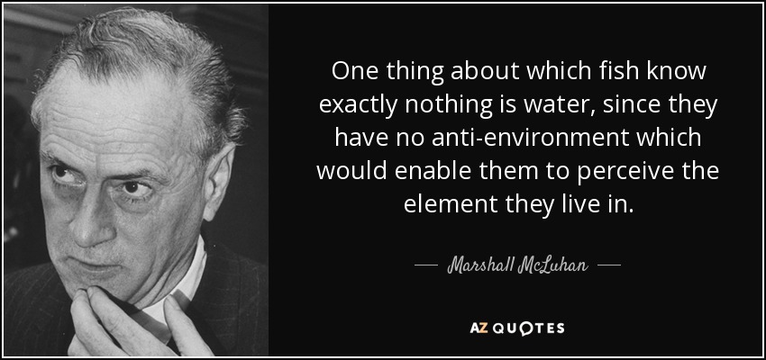 One thing about which fish know exactly nothing is water, since they have no anti-environment which would enable them to perceive the element they live in. - Marshall McLuhan