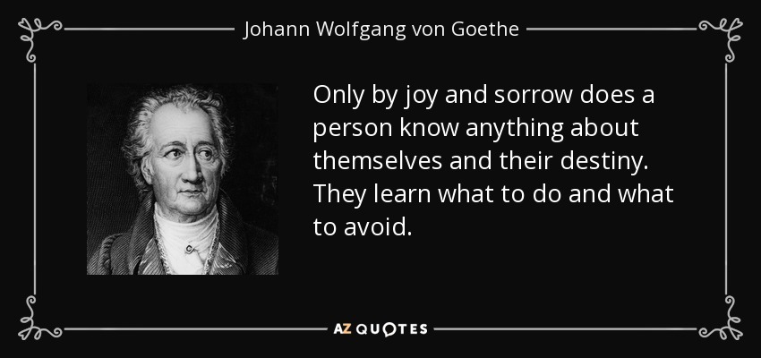 Only by joy and sorrow does a person know anything about themselves and their destiny. They learn what to do and what to avoid. - Johann Wolfgang von Goethe