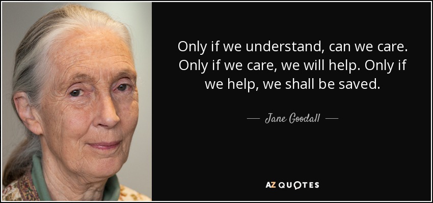 Only if we understand, can we care. Only if we care, we will help. Only if we help, we shall be saved. - Jane Goodall