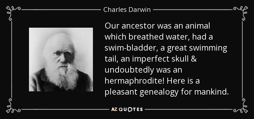 Our ancestor was an animal which breathed water, had a swim-bladder, a great swimming tail, an imperfect skull & undoubtedly was an hermaphrodite! Here is a pleasant genealogy for mankind. - Charles Darwin