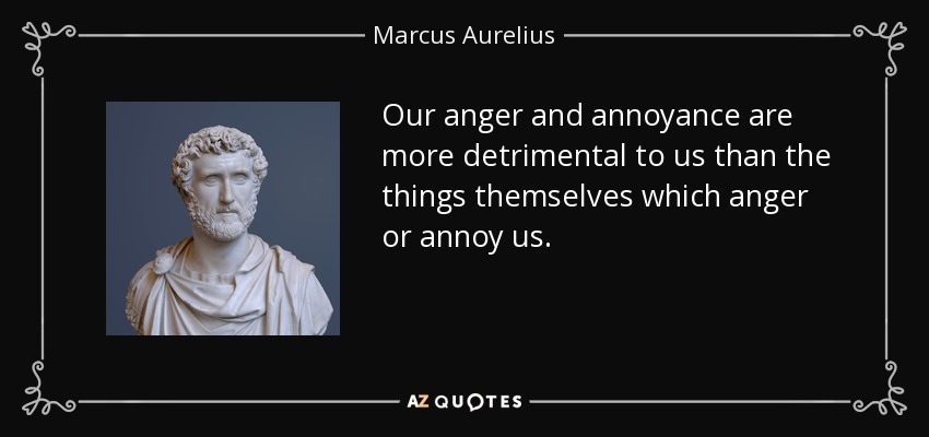 Our anger and annoyance are more detrimental to us than the things themselves which anger or annoy us. - Marcus Aurelius