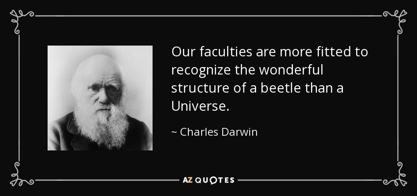 Our faculties are more fitted to recognize the wonderful structure of a beetle than a Universe. - Charles Darwin
