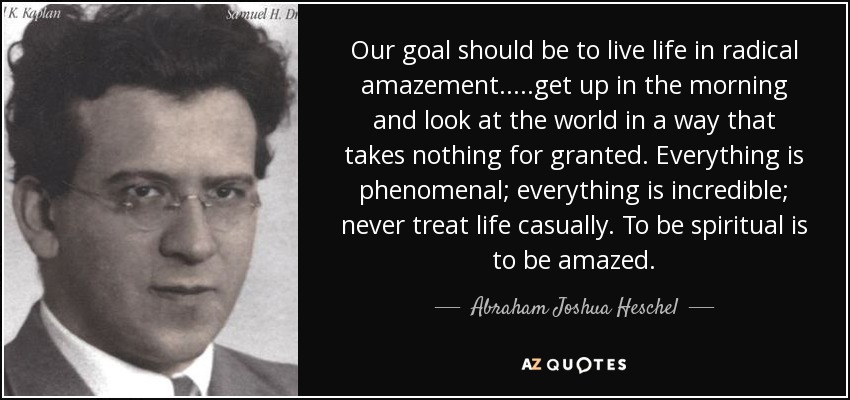 Our goal should be to live life in radical amazement. ....get up in the morning and look at the world in a way that takes nothing for granted. Everything is phenomenal; everything is incredible; never treat life casually. To be spiritual is to be amazed. - Abraham Joshua Heschel