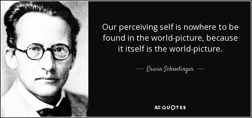 Our perceiving self is nowhere to be found in the world-picture, because it itself is the world-picture. - Erwin Schrodinger