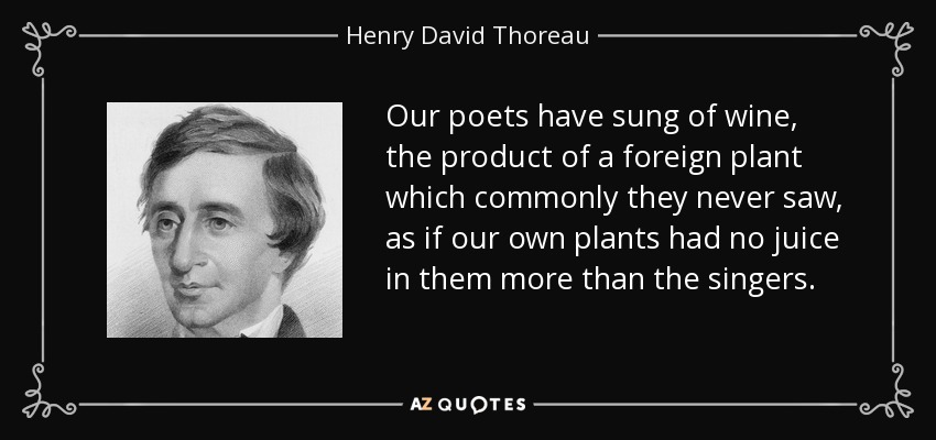 Our poets have sung of wine, the product of a foreign plant which commonly they never saw, as if our own plants had no juice in them more than the singers. - Henry David Thoreau