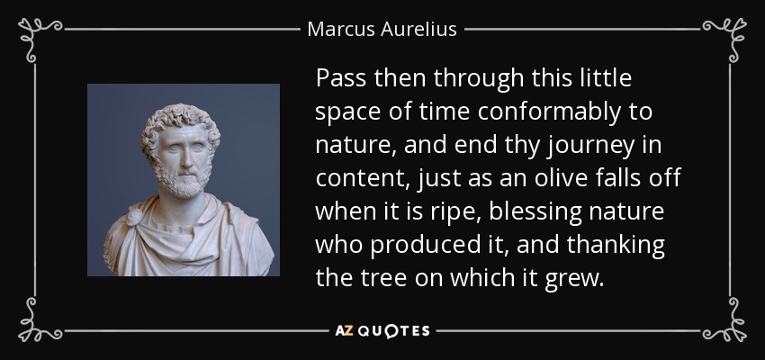 Pass then through this little space of time conformably to nature, and end thy journey in content, just as an olive falls off when it is ripe, blessing nature who produced it, and thanking the tree on which it grew. - Marcus Aurelius