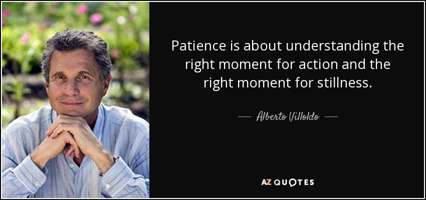Patience is about understanding the right moment for action and the right moment for stillness. - Alberto Villoldo