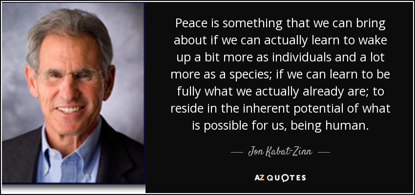 Peace is something that we can bring about if we can actually learn to wake up a bit more as individuals and a lot more as a species; if we can learn to be fully what we actually already are; to reside in the inherent potential of what is possible for us, being human. - Jon Kabat-Zinn