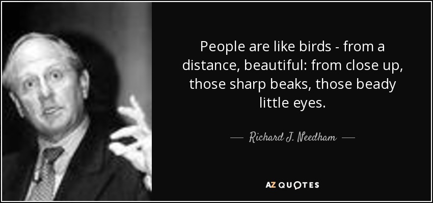 People are like birds - from a distance, beautiful: from close up, those sharp beaks, those beady little eyes. - Richard J. Needham