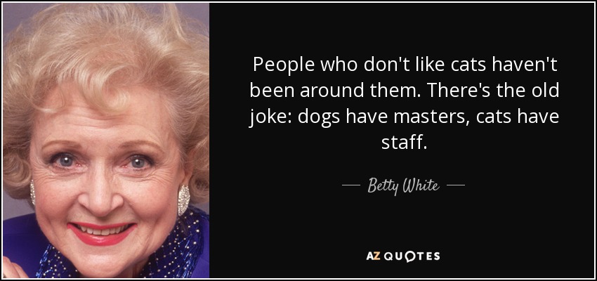 People who don't like cats haven't been around them. There's the old joke: dogs have masters, cats have staff. - Betty White