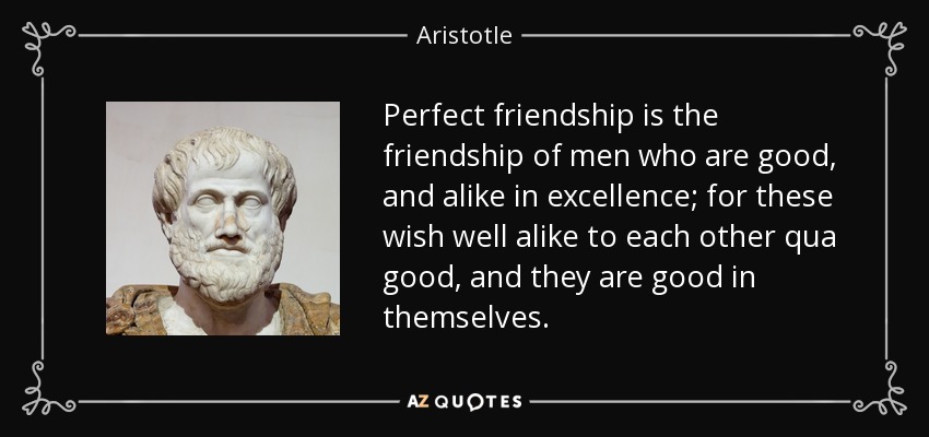 Perfect friendship is the friendship of men who are good, and alike in excellence; for these wish well alike to each other qua good, and they are good in themselves. - Aristotle