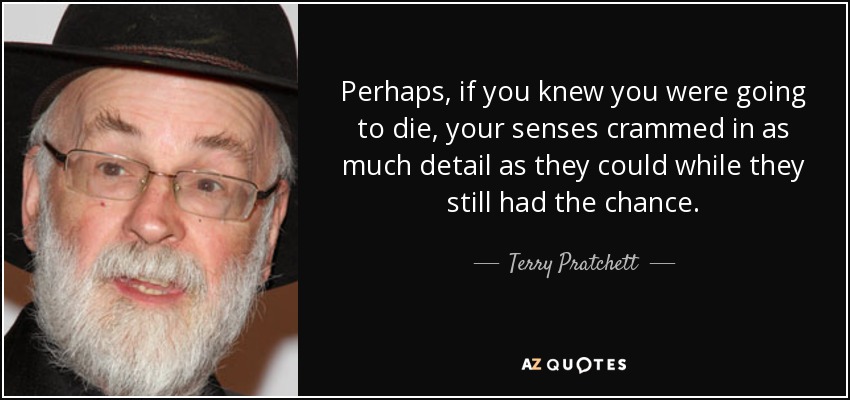 Perhaps, if you knew you were going to die, your senses crammed in as much detail as they could while they still had the chance. - Terry Pratchett