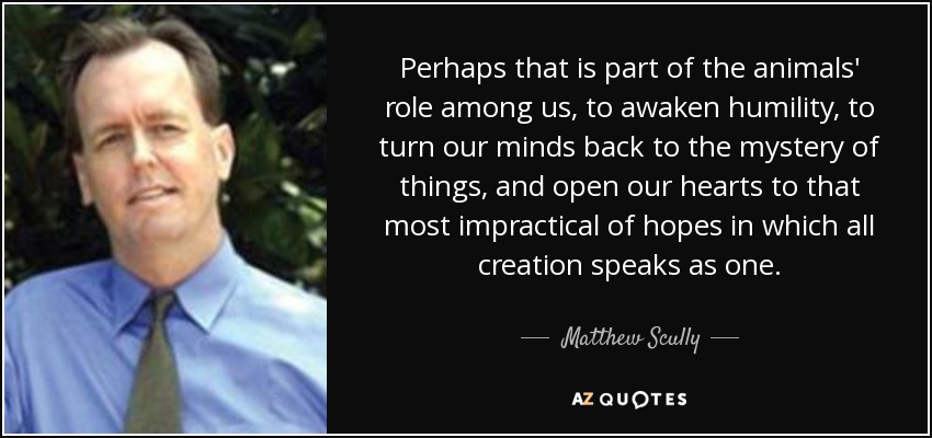 Perhaps that is part of the animals' role among us, to awaken humility, to turn our minds back to the mystery of things, and open our hearts to that most impractical of hopes in which all creation speaks as one. - Matthew Scully