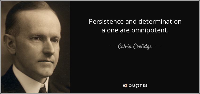 Quotes On Persistence And Determination - Marty Shaylyn