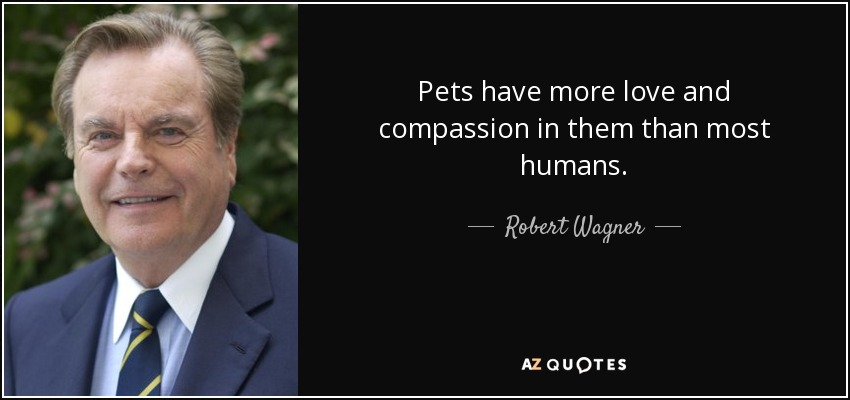 Pets have more love and compassion in them than most humans. - Robert Wagner