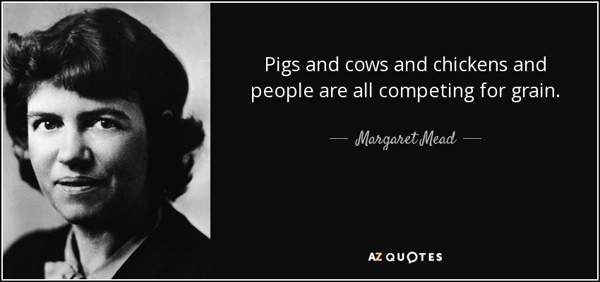Pigs and cows and chickens and people are all competing for grain. - Margaret Mead