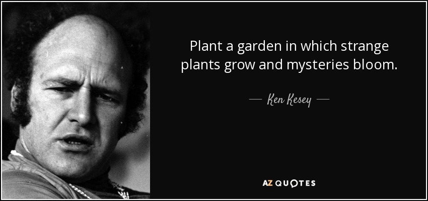 Plant a garden in which strange plants grow and mysteries bloom. - Ken Kesey