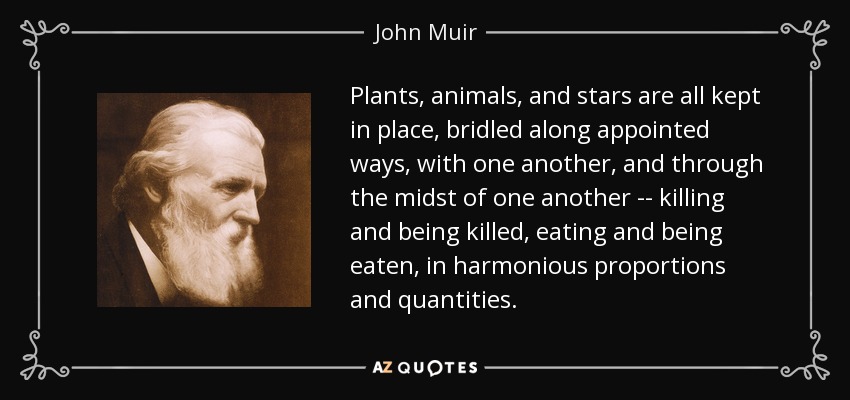 Plants, animals, and stars are all kept in place, bridled along appointed ways, with one another, and through the midst of one another -- killing and being killed, eating and being eaten, in harmonious proportions and quantities. - John Muir