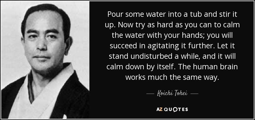Pour some water into a tub and stir it up. Now try as hard as you can to calm the water with your hands; you will succeed in agitating it further. Let it stand undisturbed a while, and it will calm down by itself. The human brain works much the same way. - Koichi Tohei