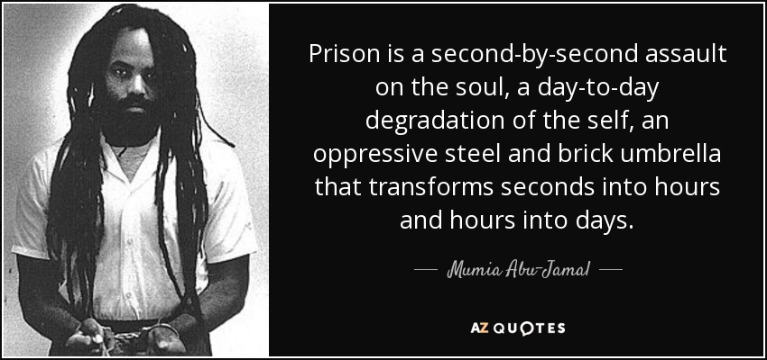 Prison is a second-by-second assault on the soul, a day-to-day degradation of the self, an oppressive steel and brick umbrella that transforms seconds into hours and hours into days. - Mumia Abu-Jamal