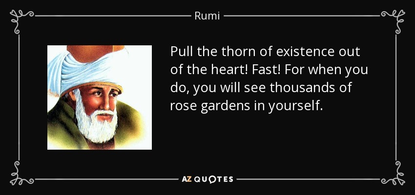 Pull the thorn of existence out of the heart! Fast! For when you do, you will see thousands of rose gardens in yourself. - Rumi