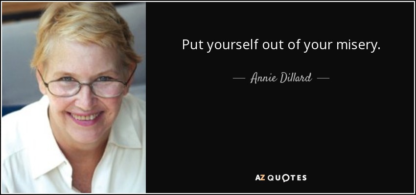 Put yourself out of your misery. - Annie Dillard