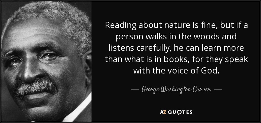 Reading about nature is fine, but if a person walks in the woods and listens carefully, he can learn more than what is in books, for they speak with the voice of God. - George Washington Carver