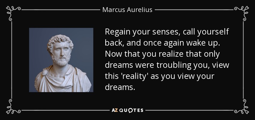 Regain your senses, call yourself back, and once again wake up. Now that you realize that only dreams were troubling you, view this 'reality' as you view your dreams. - Marcus Aurelius