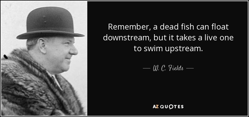 Remember, a dead fish can float downstream, but it takes a live one to swim upstream. - W. C. Fields