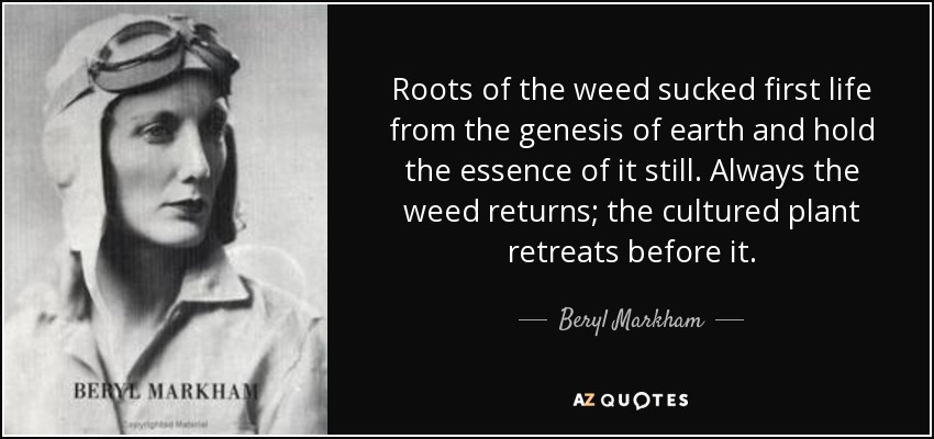 Roots of the weed sucked first life from the genesis of earth and hold the essence of it still. Always the weed returns; the cultured plant retreats before it. - Beryl Markham