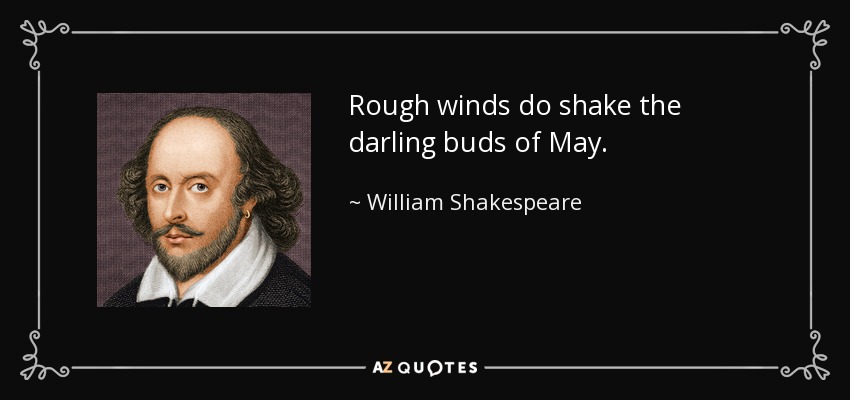 Rough winds do shake the darling buds of May. - William Shakespeare