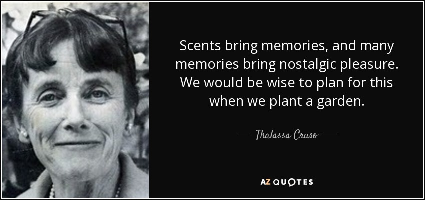 Scents bring memories, and many memories bring nostalgic pleasure. We would be wise to plan for this when we plant a garden. - Thalassa Cruso
