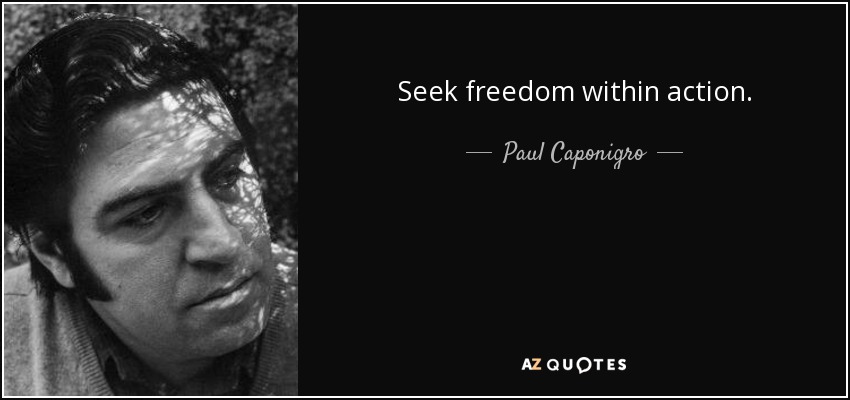 Seek freedom within action. - Paul Caponigro