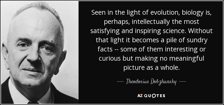 Seen in the light of evolution, biology is, perhaps, intellectually the most satisfying and inspiring science. Without that light it becomes a pile of sundry facts -- some of them interesting or curious but making no meaningful picture as a whole. - Theodosius Dobzhansky