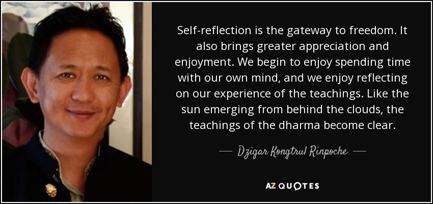 Self-reflection is the gateway to freedom. It also brings greater appreciation and enjoyment. We begin to enjoy spending time with our own mind, and we enjoy reflecting on our experience of the teachings. Like the sun emerging from behind the clouds, the teachings of the dharma become clear. - Dzigar Kongtrul Rinpoche
