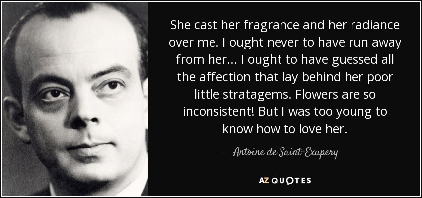 She cast her fragrance and her radiance over me. I ought never to have run away from her... I ought to have guessed all the affection that lay behind her poor little stratagems. Flowers are so inconsistent! But I was too young to know how to love her. - Antoine de Saint-Exupery