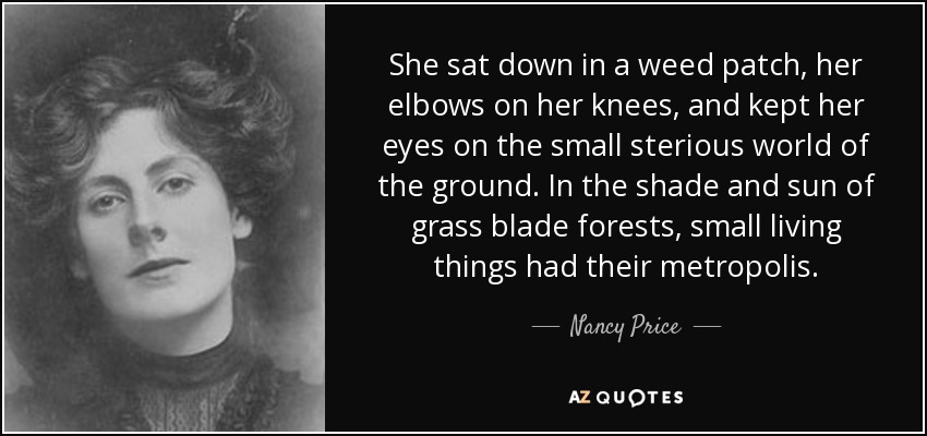 She sat down in a weed patch, her elbows on her knees, and kept her eyes on the small sterious world of the ground. In the shade and sun of grass blade forests, small living things had their metropolis. - Nancy Price