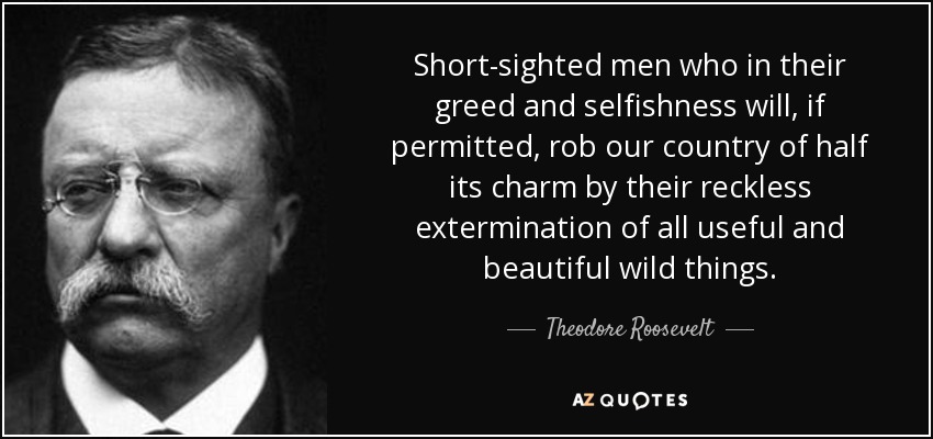 Short-sighted men who in their greed and selfishness will, if permitted, rob our country of half its charm by their reckless extermination of all useful and beautiful wild things. - Theodore Roosevelt