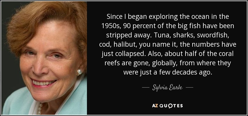 Since I began exploring the ocean in the 1950s, 90 percent of the big fish have been stripped away. Tuna, sharks, swordfish, cod, halibut, you name it, the numbers have just collapsed. Also, about half of the coral reefs are gone, globally, from where they were just a few decades ago. - Sylvia Earle