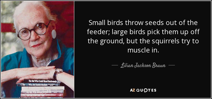 Small birds throw seeds out of the feeder; large birds pick them up off the ground, but the squirrels try to muscle in. - Lilian Jackson Braun