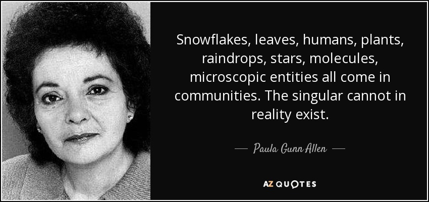 Snowflakes, leaves, humans, plants, raindrops, stars, molecules, microscopic entities all come in communities. The singular cannot in reality exist. - Paula Gunn Allen