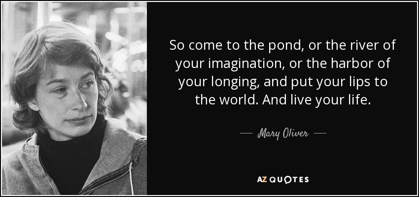 So come to the pond, or the river of your imagination, or the harbor of your longing, and put your lips to the world. And live your life. - Mary Oliver