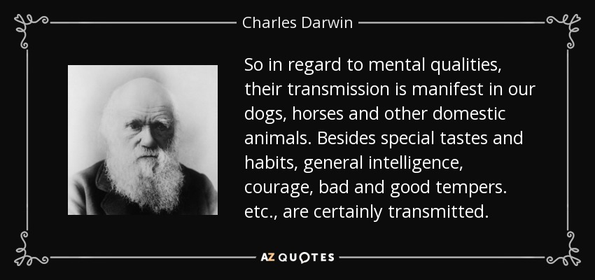 So in regard to mental qualities, their transmission is manifest in our dogs, horses and other domestic animals. Besides special tastes and habits, general intelligence, courage, bad and good tempers. etc., are certainly transmitted. - Charles Darwin