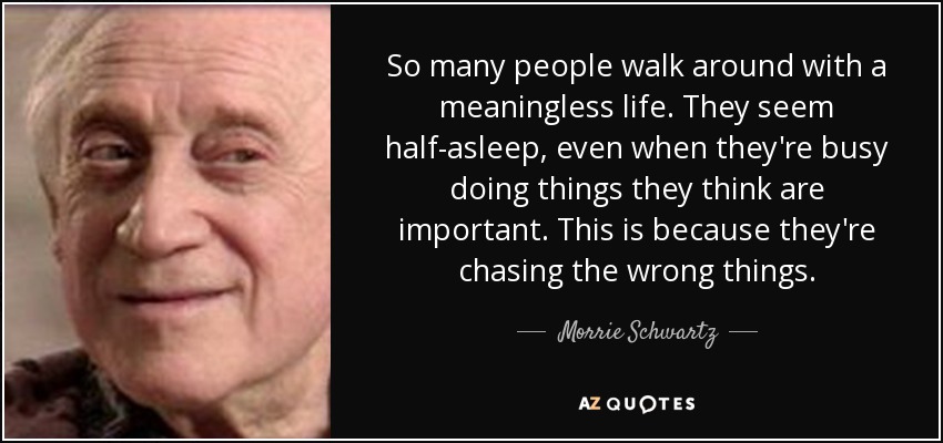 So many people walk around with a meaningless life. They seem half-asleep, even when they're busy doing things they think are important. This is because they're chasing the wrong things. - Morrie Schwartz