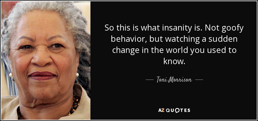 So this is what insanity is. Not goofy behavior, but watching a sudden change in the world you used to know. - Toni Morrison