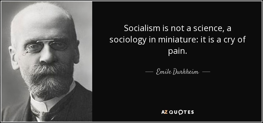 Socialism is not a science, a sociology in miniature: it is a cry of pain. - Emile Durkheim