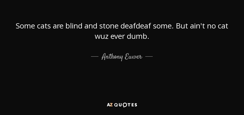 Some cats are blind and stone deafdeaf some. But ain't no cat wuz ever dumb. - Anthony Euwer