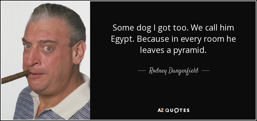 Some dog I got too. We call him Egypt. Because in every room he leaves a pyramid. - Rodney Dangerfield