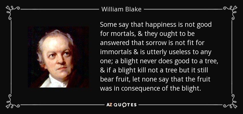 Some say that happiness is not good for mortals, & they ought to be answered that sorrow is not fit for immortals & is utterly useless to any one; a blight never does good to a tree, & if a blight kill not a tree but it still bear fruit, let none say that the fruit was in consequence of the blight. - William Blake